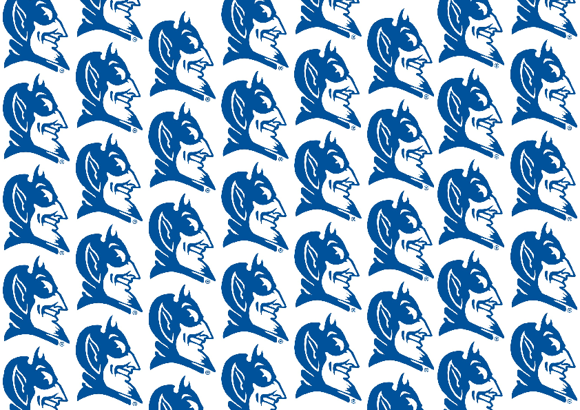 Duke Blue
							  Devel Wallpaper.